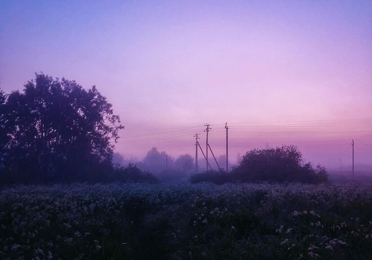 关于妖精影视在线隐私解读
