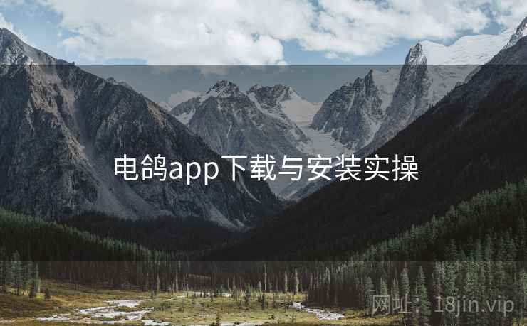 电鸽app下载与安装实操