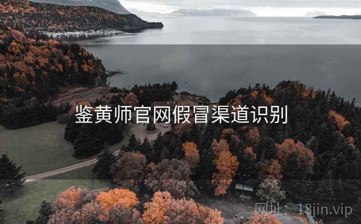 鉴黄师官网假冒渠道识别 鉴黄师官网假冒渠道识别