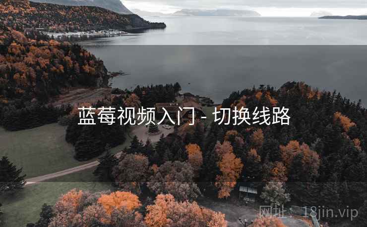 蓝莓视频入门 - 切换线路 蓝莓视频入门 - 切换线路